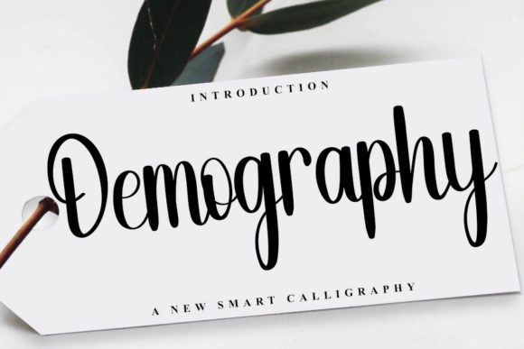 Demography: A Charming Handwritten Font for Modern Branding