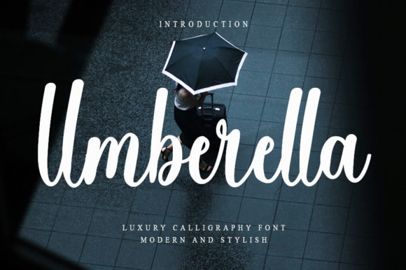 Umberella: A Romantic Script Typeface for Elegant Web Design
